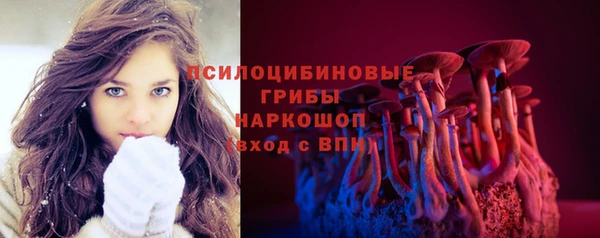 сатива Магадан
