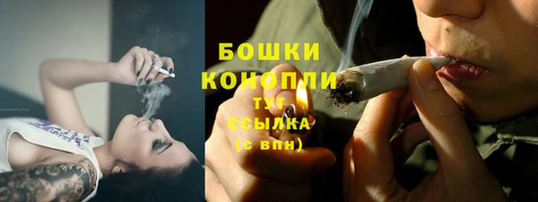 сатива Магадан