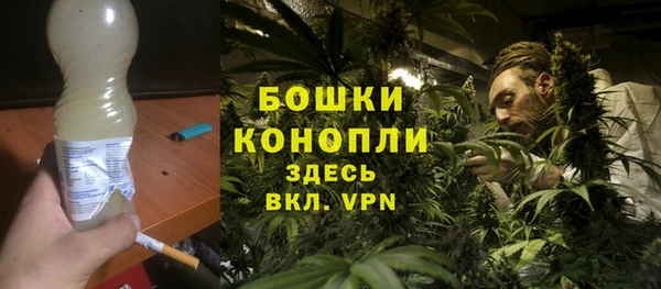 сатива Магадан