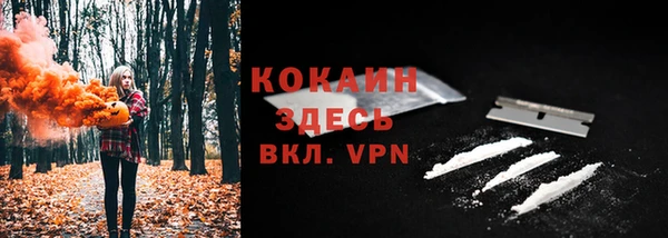 сатива Магадан