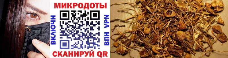 Псилоцибиновые грибы прущие грибы Карабаш