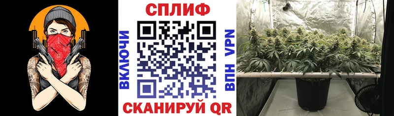 Бошки марихуана VHQ  Купить где  Карабаш 